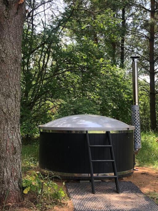 Forest Cabin Ozolaine Esterno foto